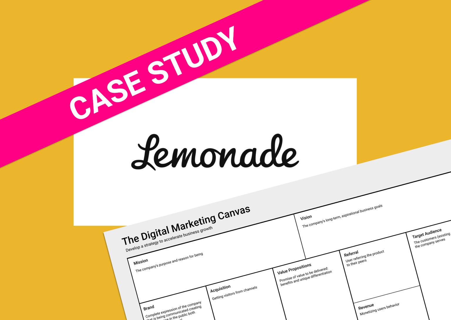Lemonade_Insurance - Case Study